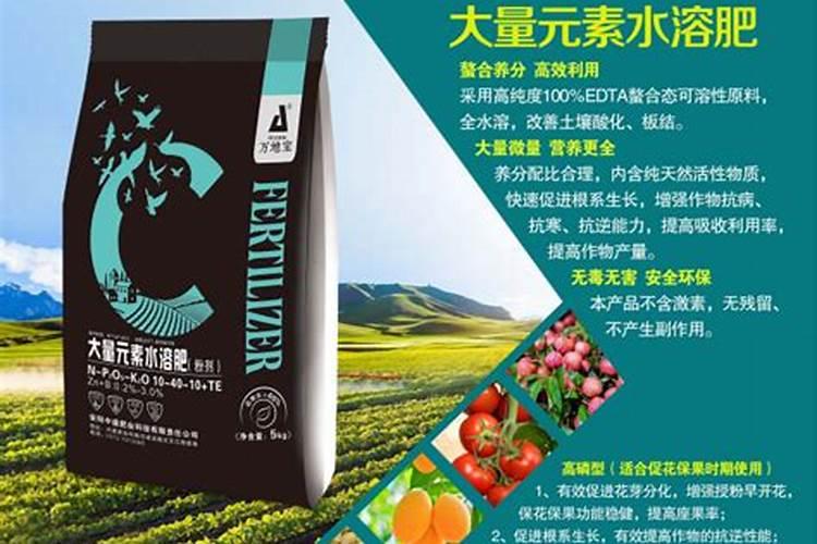 种植西瓜用什么肥料最佳