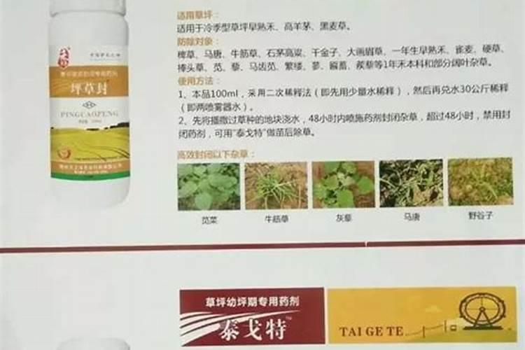 草坪需要上什么肥料好