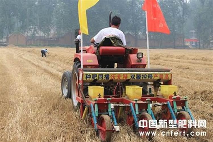 玉米播种是可以施尿素吗？