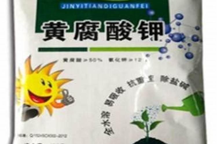 小麦年后追什么肥效果最好