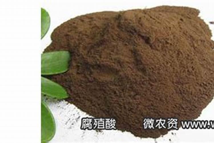 白术的施肥方法是什么