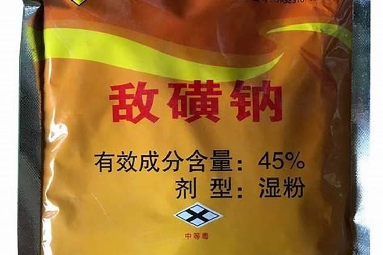 白术的苗期管理技术 白术怎么施肥好