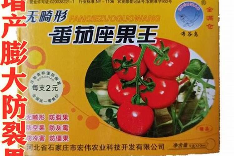 西红柿青皮果如何防治