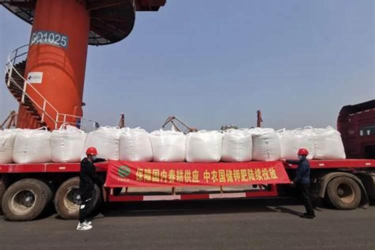 2021年中国钾肥大合同签了多少万吨