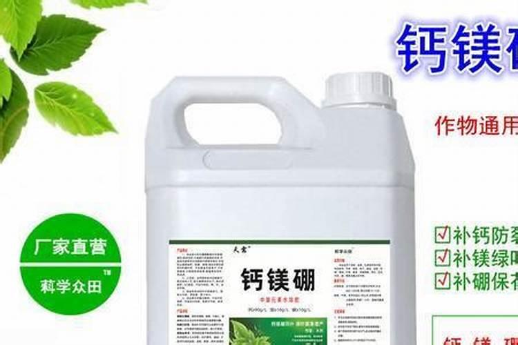 果树施肥用什么肥料好 灌根施肥怎么施
