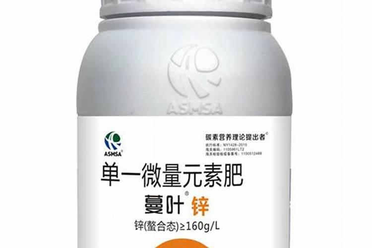 有知道油桃树苗,什么品种好