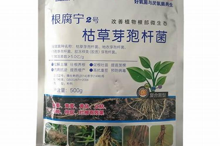 钾肥的作用是什么