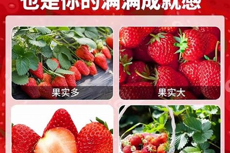 天脊硝酸钾出厂价多少,贵不贵呢？