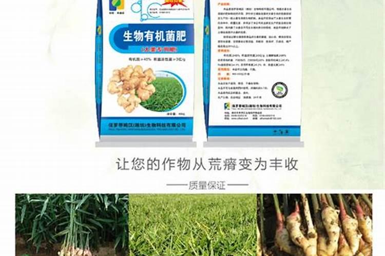 钾肥价格多少钱一吨
