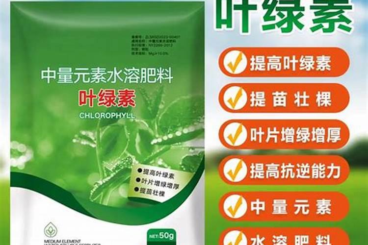 植物营养液的正确使用方法