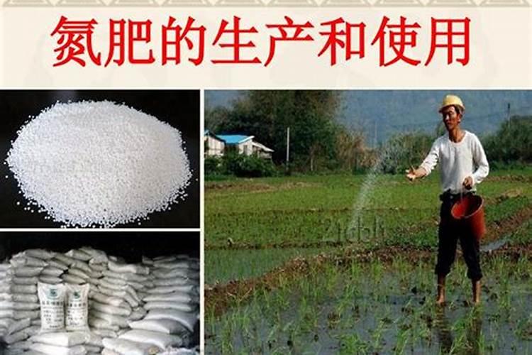 氮肥注意事项