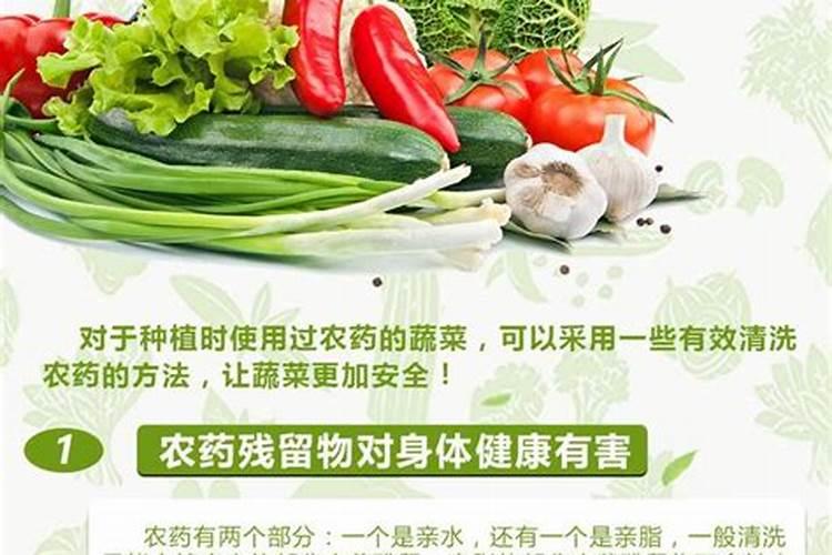 如何去除蔬果农药残留 妙用4招除药不手软