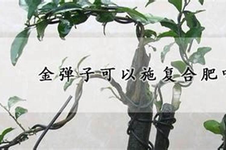 大豆用什么肥料最旺