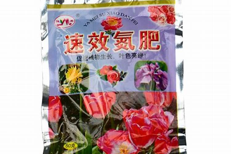 月季什么时候用氮肥