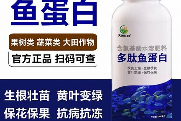 地图鱼苗吃什么