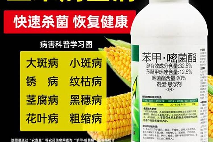玉米杀菌剂什么时候打最好