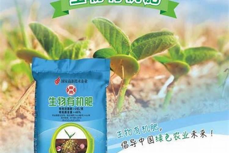 偏施氮肥易造成蔬菜受到的化学性危害是什么原因