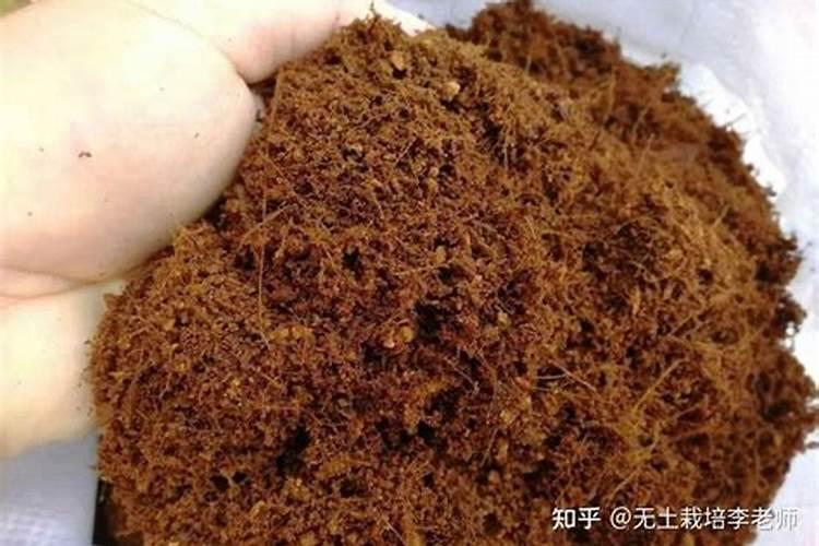 泥炭土和椰糠土区别