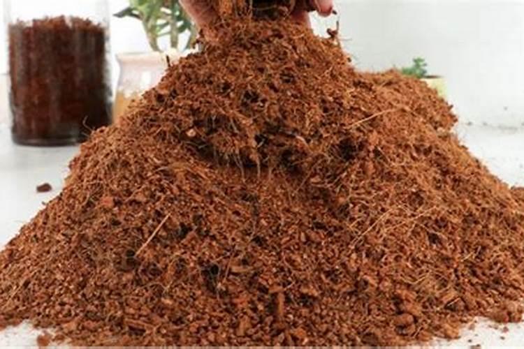 泥炭和椰糠哪个好,他们的区别是什么？跪求大家解释的详细点