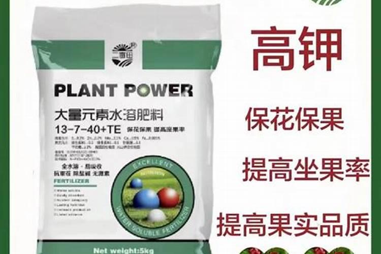 养多肉肥料哪里能买到(多肉植物专用肥料)