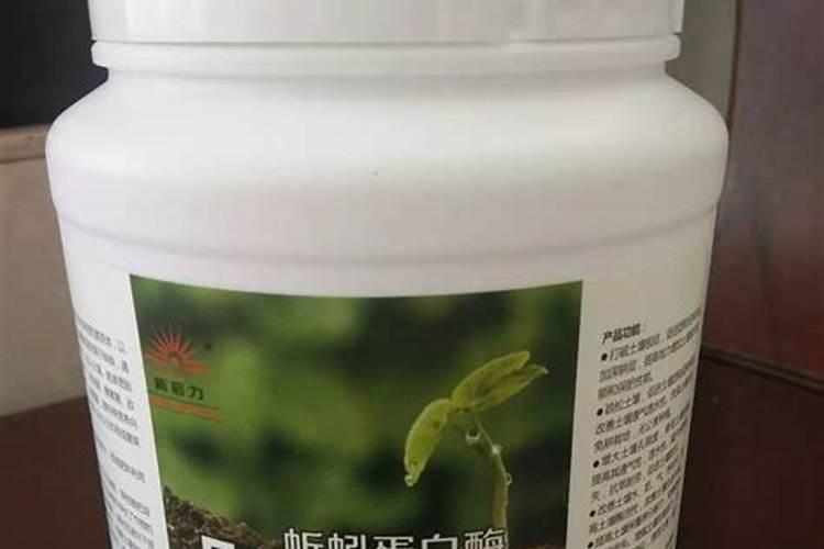 蚂蚁为什么不吃蚯蚓