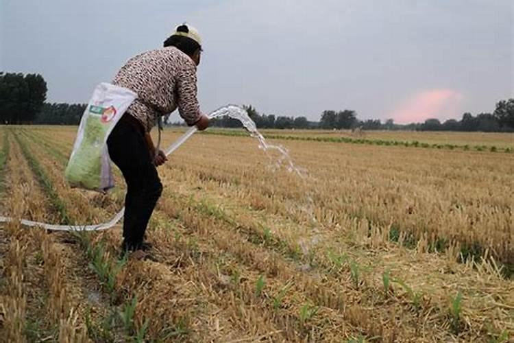 复合肥料如果没有下雨 撒上面能不能行？