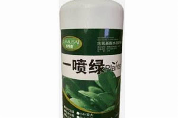 烂丝瓜的症状及解决方法