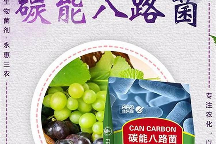 盐湖钾肥股票代码是多少 盐湖钾肥股票