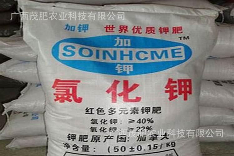 请问加拿大钾肥公司的运作模式