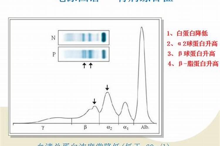 鱼蛋白的做法都有什么呢？