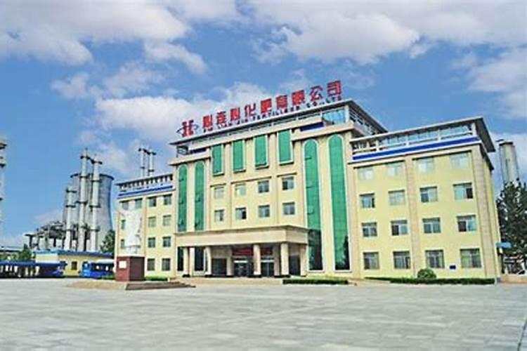 桂圆树在河南新乡可以种植吗？