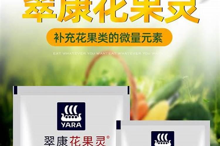 西红柿生长点不正常