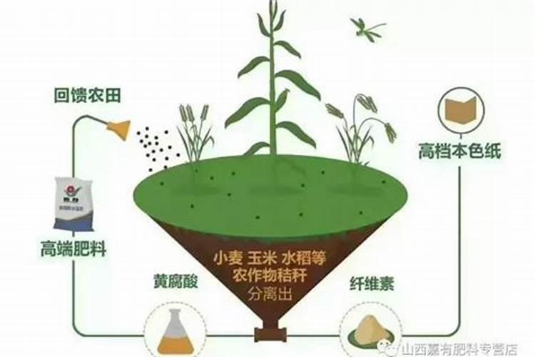 腐植酸肥料有什么功能？