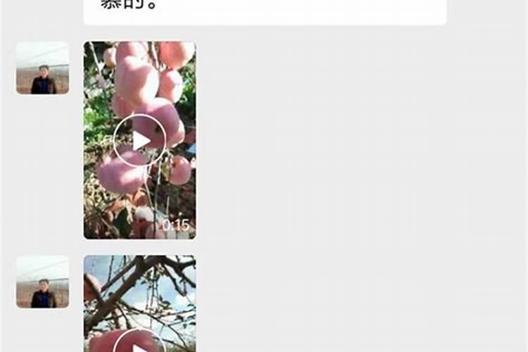 沃柑用什么肥最旺盛