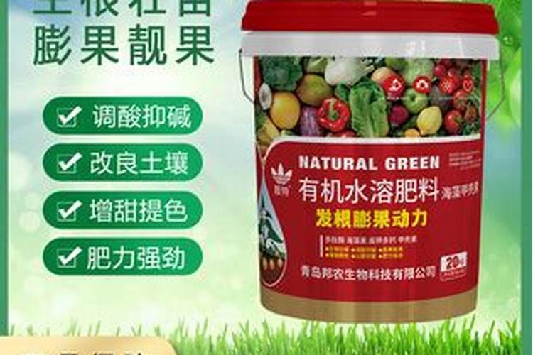 西瓜幼苗用什么生根肥好