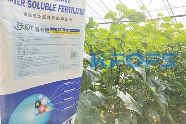 谷子用什么肥料的配比