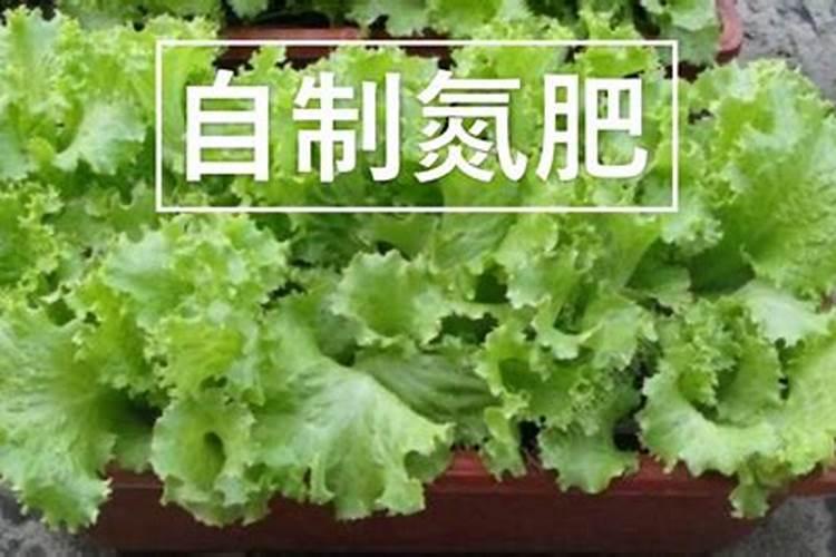 如何自制氮肥