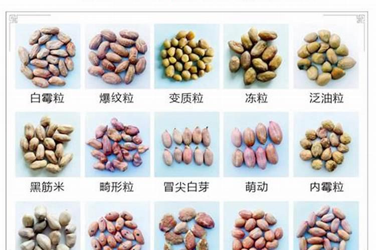 豆角最忌三种肥料