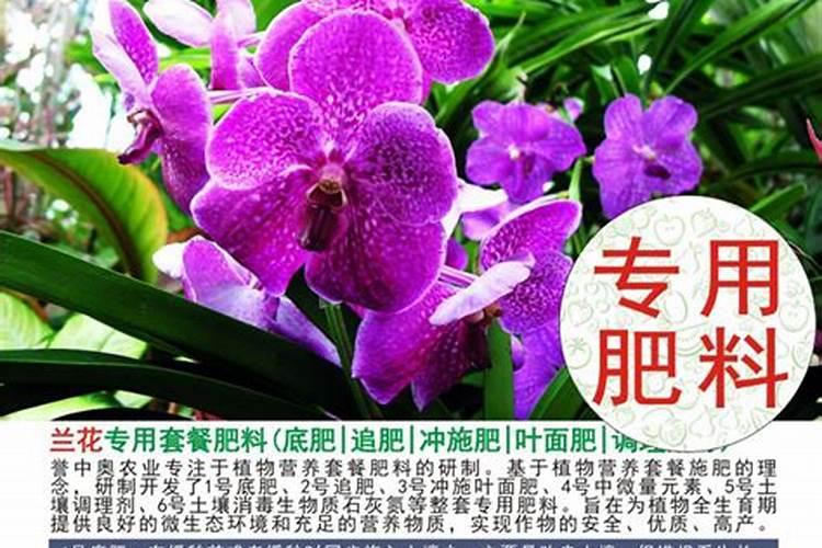 大肥王埋土还是溶水里