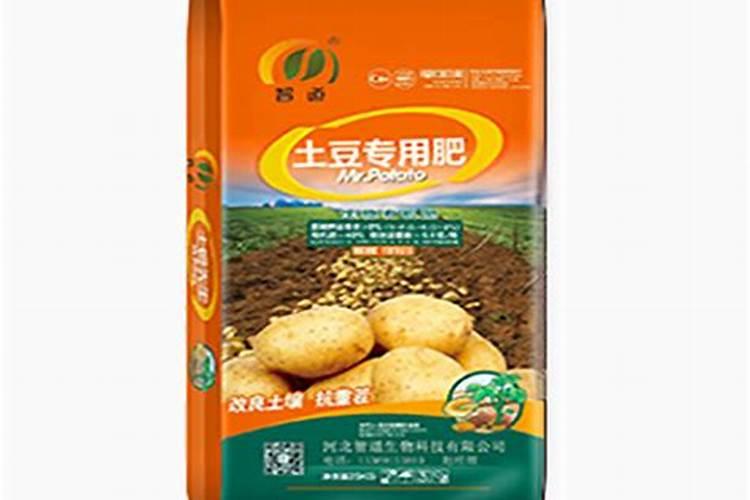玉米苗期发红是什么情况(玉米幼苗叶子变红是什么原因)