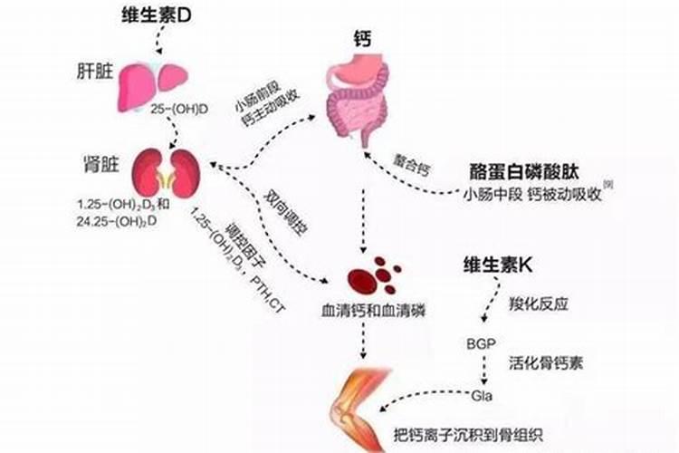 大蒜中后期施什么肥