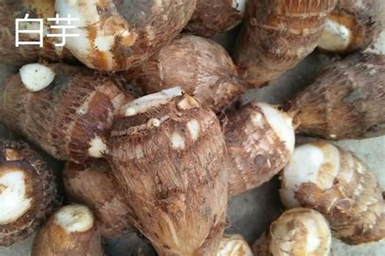 合理的追肥才能高产,芋头该怎么追肥？