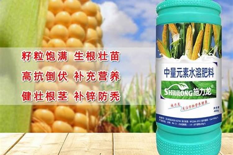 梨树秋施肥时,需要注意哪些问题