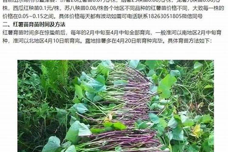 梨树怎样施秋肥？沟施还是穴施