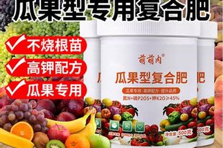 茶树种子要如何催芽