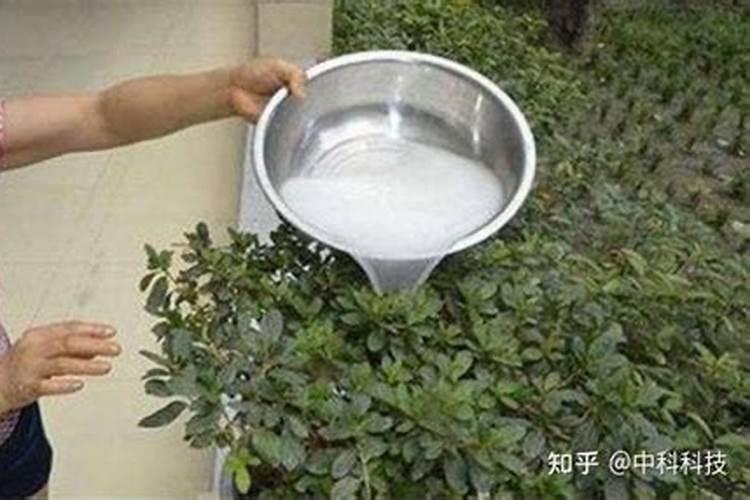 水溶肥简介