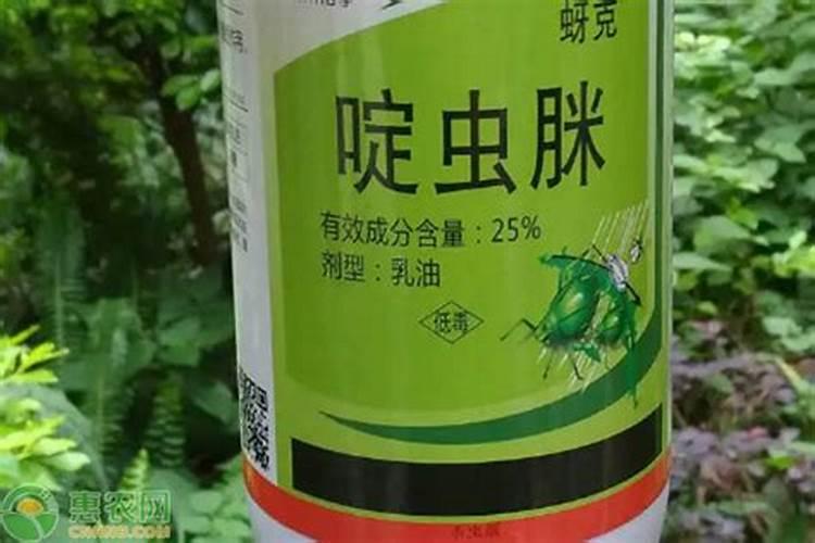 高粮生蚜虫用什么农药比较安全,和叶面肥一起使用可以么？