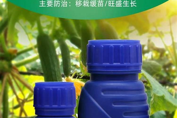 氨基酸水溶肥十大品牌