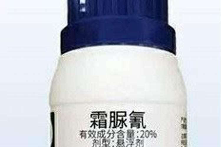 长寿花用什么肥料长得好
