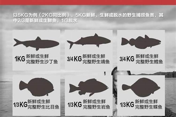 长寿花施肥方法 要注意什么